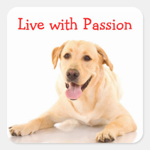 Labrador Retriever Hond Leef Met Passie Sticker