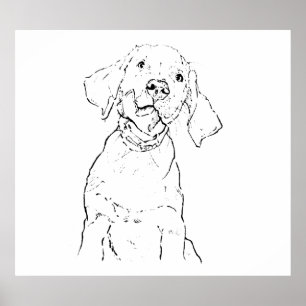 Labrador Retriever Hond Muur Kunst, Poster Tekenin