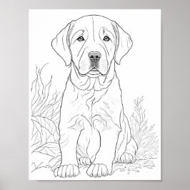 Labrador Retriever Hond Volwassen Kleuring Poster