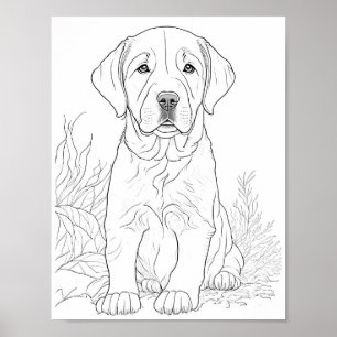 Labrador Retriever Hond Volwassen Kleuring Poster