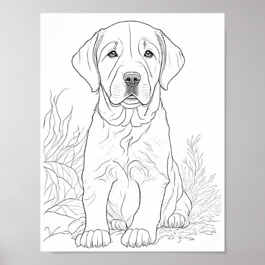 Labrador Retriever Hond Volwassen Kleuring Poster (Voorkant)