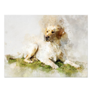 Labrador Retriever Hond Watercolor Portret 03 Foto Afdruk