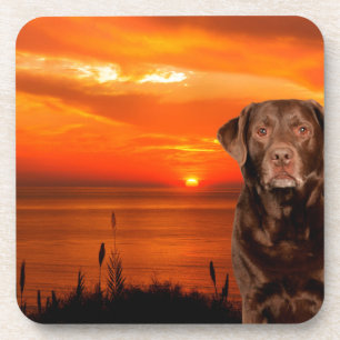Labrador Retriever Hond Zittend naast zonsondergan Drankjes Onderzetter