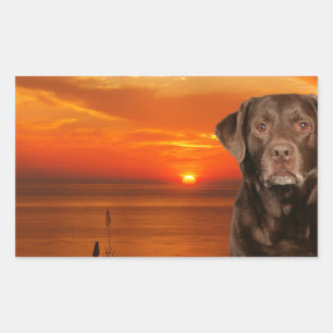 Labrador Retriever Hond Zittend naast zonsondergan Rechthoekige Sticker