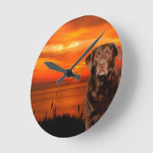 Labrador Retriever Hond Zittend naast zonsondergan Ronde Klok (Hoek)