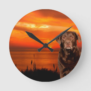 Labrador Retriever Hond Zittend naast zonsondergan Ronde Klok