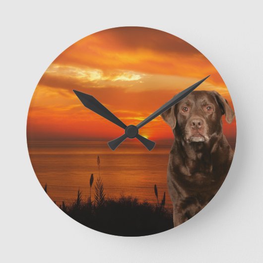 Labrador Retriever Hond Zittend naast zonsondergan Ronde Klok (Voorkant)