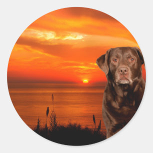Labrador Retriever Hond Zittend naast zonsondergan Ronde Sticker