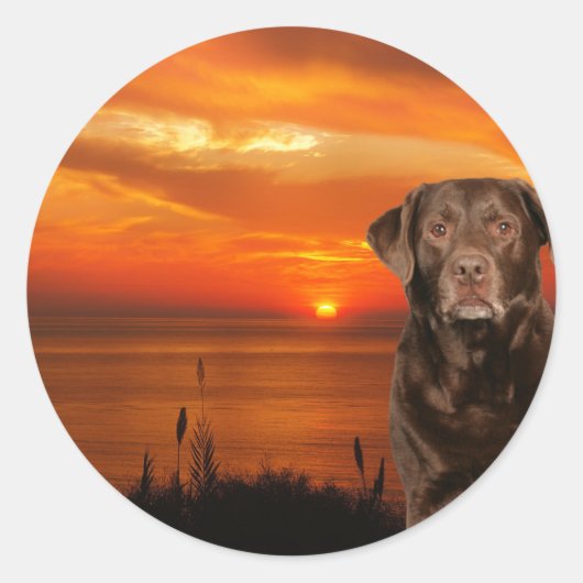 Labrador Retriever Hond Zittend naast zonsondergan Ronde Sticker (Voorkant)
