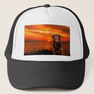 Labrador Retriever Hond Zittend naast zonsondergan Trucker Pet