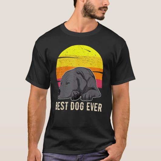 Labrador Retriever Hond Zonsondergang 59 T-shirt (Voorkant)