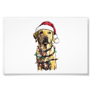 Labrador Retriever Honden Boom Kerst Trui Xma Foto Afdruk