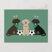 Labrador Retriever Honden Spelen Voetbal