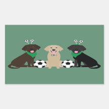 Labrador Retriever Honden Spelen Voetbal