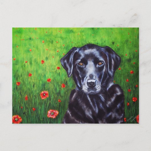 Labrador Retriever Hondenkunst - Poppy Briefkaart (Voorkant)
