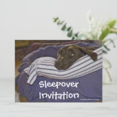 Labrador Retriever in bed Kaart (Staand voorkant)