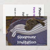 Labrador Retriever in bed Kaart (Voorkant / Achterkant)