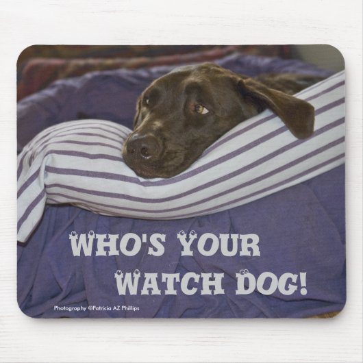 Labrador Retriever in bed Muismat (Voorkant)