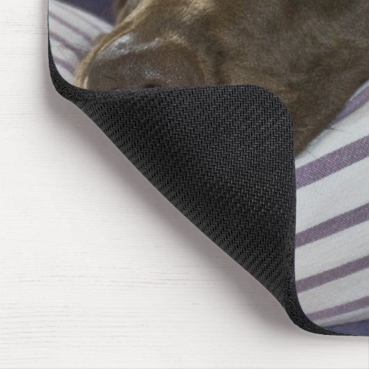 Labrador Retriever in bed Muismat (Hoek)