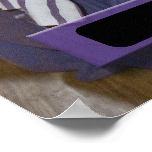 Labrador Retriever in bed Poster (Hoek)