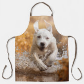 Labrador Retriever in het Schort van de rivier (Voorkant)