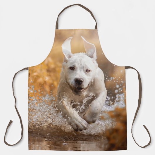 Labrador Retriever in het Schort van de rivier (Voorkant)