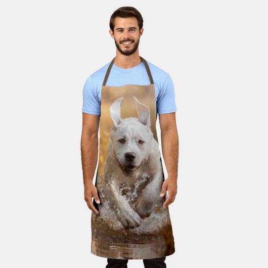 Labrador Retriever in het Schort van de rivier (Gedragen)