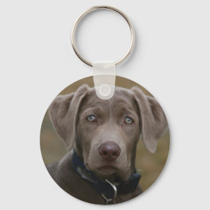 Labrador Retriever In Rare Light Silver Sleutelhanger