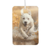 Labrador Retriever in River Air Freshener Luchtverfrisser (Voorkant)