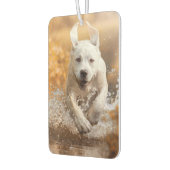 Labrador Retriever in River Air Freshener Luchtverfrisser (Links)