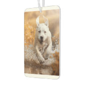Labrador Retriever in River Air Freshener Luchtverfrisser (Links)