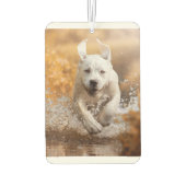 Labrador Retriever in River Air Freshener Luchtverfrisser (Achterkant)