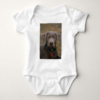 Labrador Retriever in zeldzame lichte zilver Romper