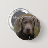 Labrador Retriever in zeldzame lichte zilver Ronde Button 5,7 Cm (Voorkant /achterkant)