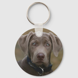 Labrador Retriever in zeldzame lichte zilver Sleutelhanger