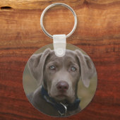 Labrador Retriever in zeldzame lichte zilver Sleutelhanger (Voorkant)