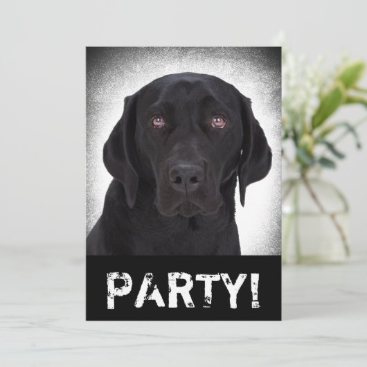 Labrador Retriever Kaart (Staand voorkant)