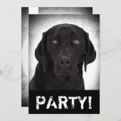 Labrador Retriever Kaart (Voorkant / Achterkant)