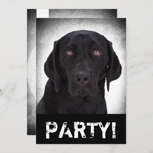 Labrador Retriever Kaart (Voorkant / Achterkant)