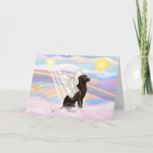 labrador Retriever Kaart