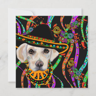 Labrador Retriever Kaart