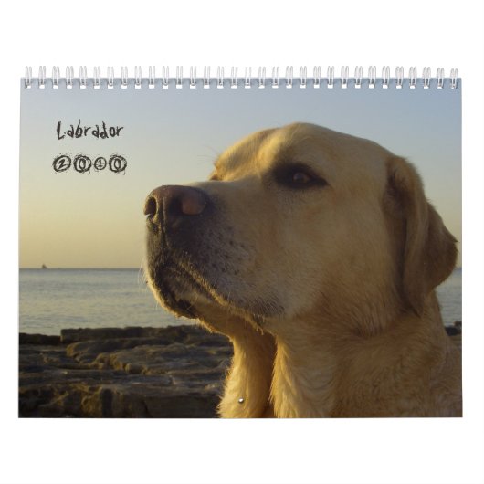 Labrador Retriever kalender 2010 (Hoes)