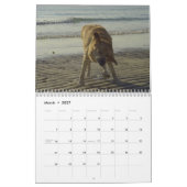 Labrador Retriever kalender 2010 (Mar 2027)
