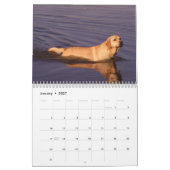 Labrador Retriever kalender 2010 (Jan 2027)