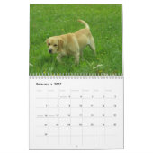 Labrador Retriever kalender 2010 (Feb 2027)