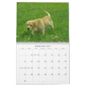 Labrador Retriever kalender 2011 (Feb 2027)