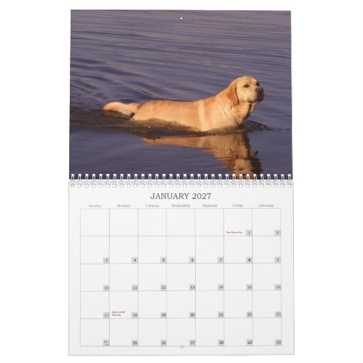 Labrador Retriever kalender 2011 (Jan 2027)