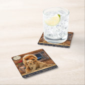 Labrador Retriever Kartonnen Onderzetters (Insitu)