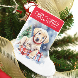 Labrador retriever kerstcadeaus voor honden kleine kerstsok