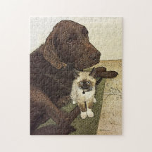 Labrador Retriever Kitten Buddy Beste vrienden